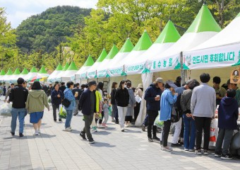 “봄 기운 가득” 양평 용문산 산나물축제, 26~28일 개최